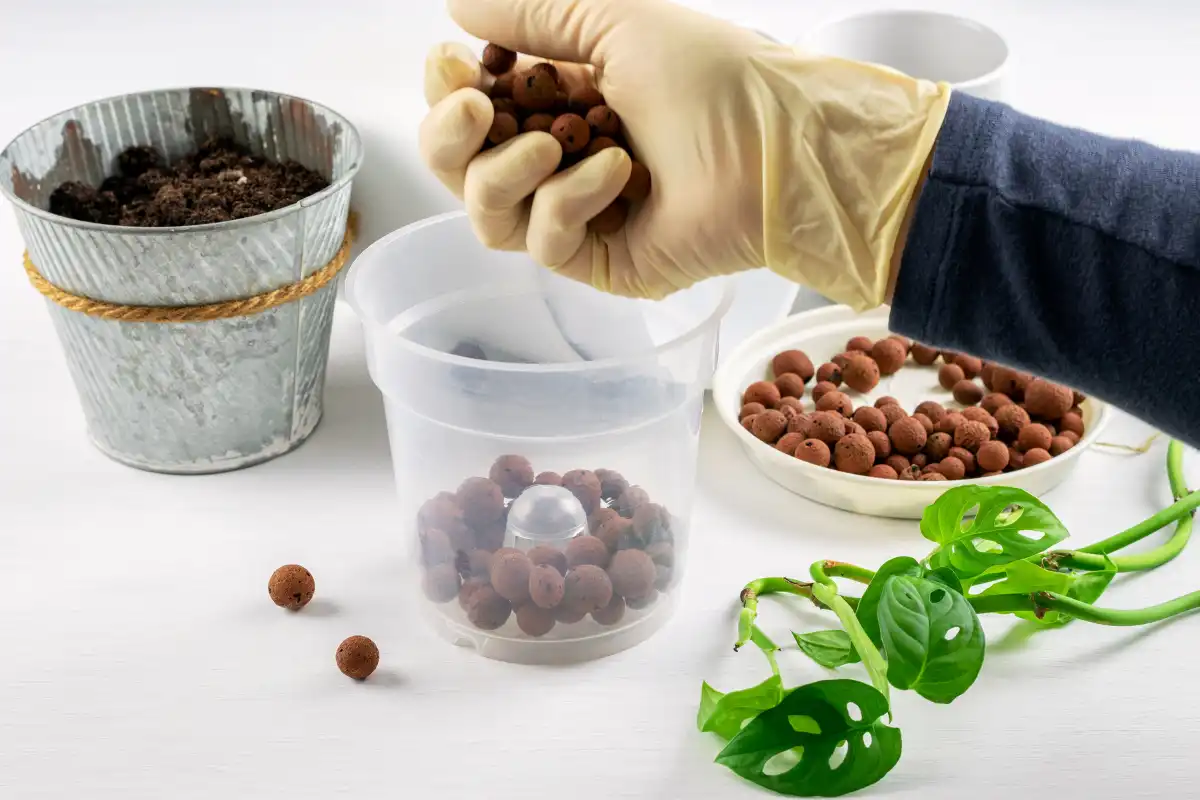 Drenažni sloj u saksiji